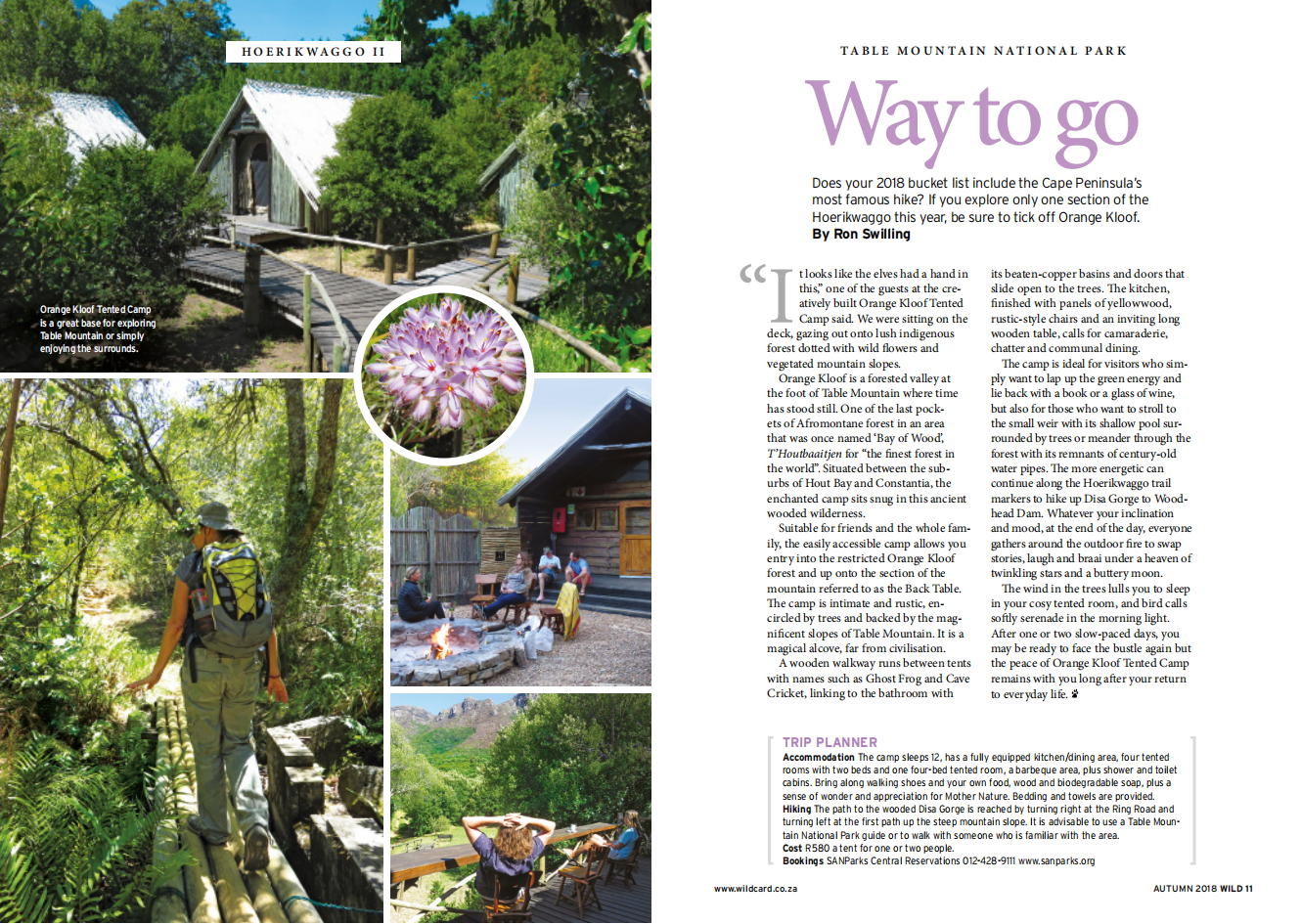 Orangekloof (Wild 2018)_00