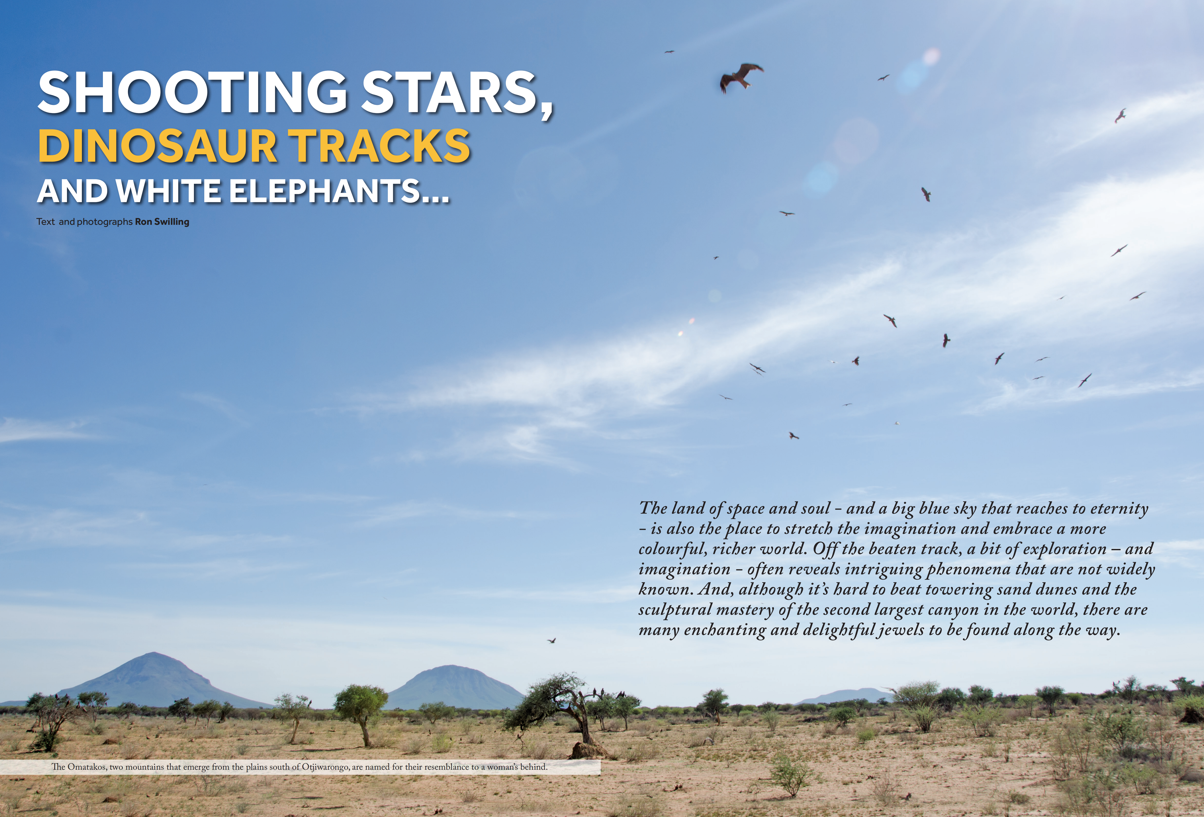 Shooting stars, dinosaur tracks & white elephants (Travel News Namibia 2016) (1)_00