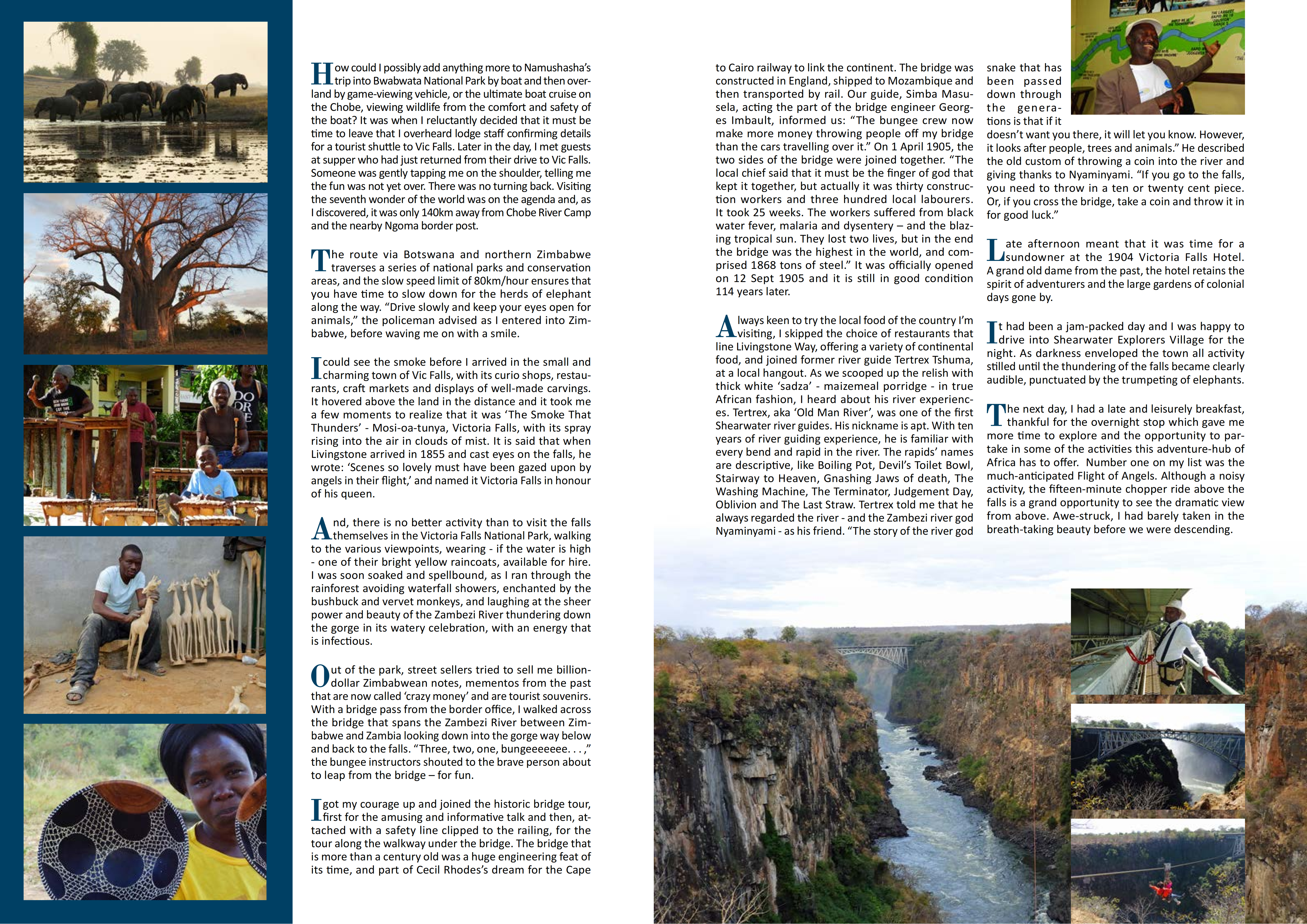 Vic Falls (Flamingo 2020)_01