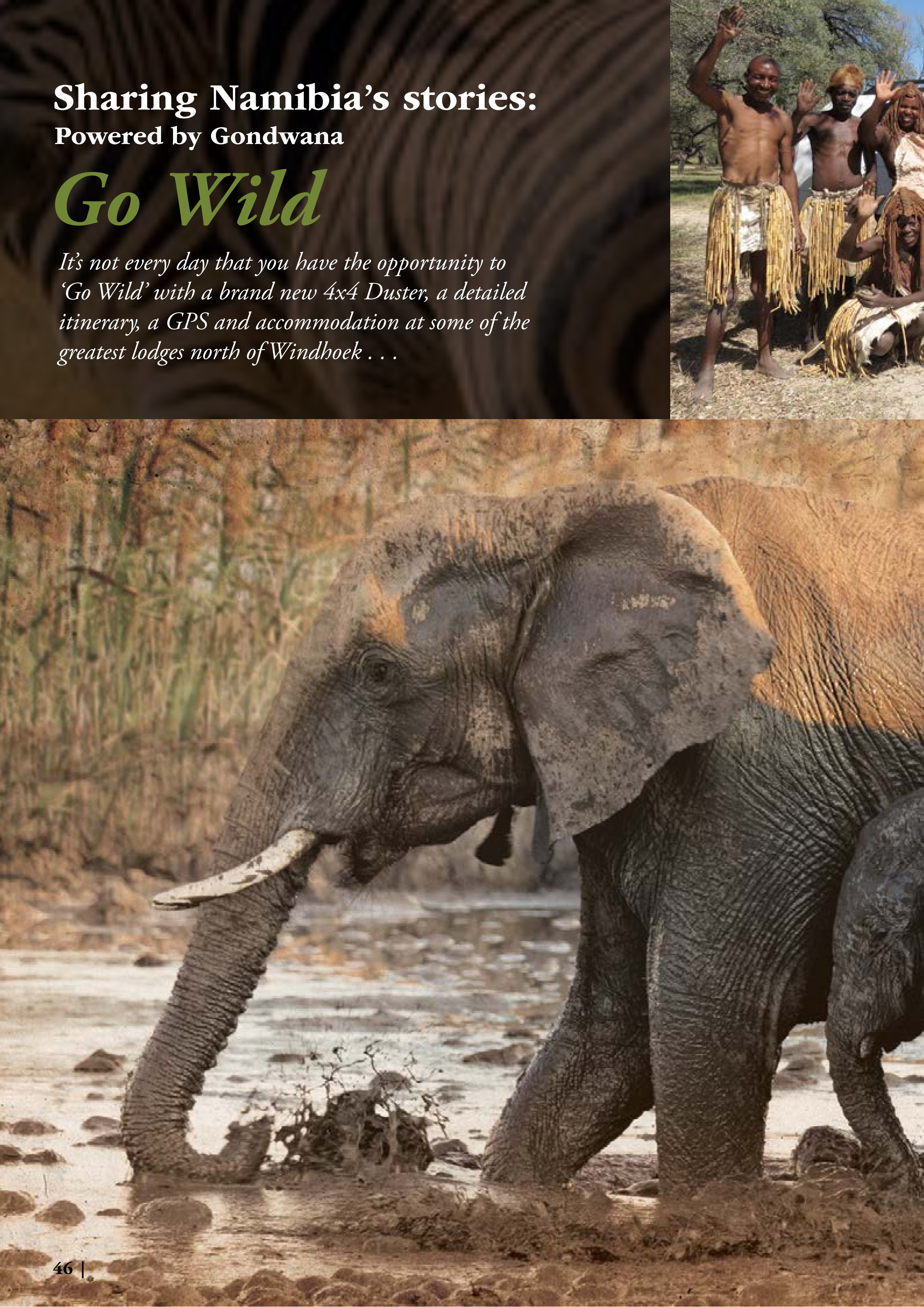 GO WILD (Flamingo 2017)_00