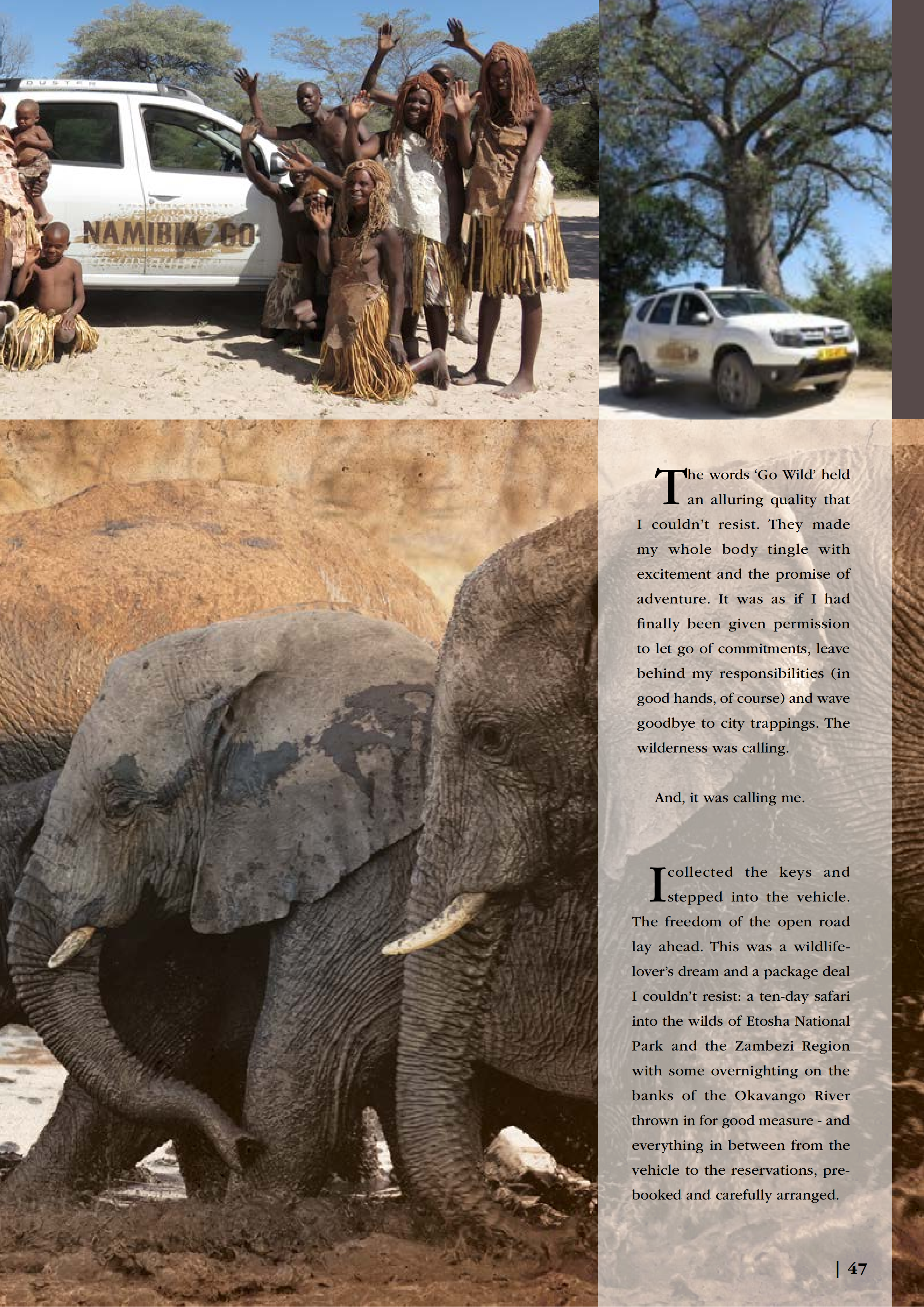 GO WILD (Flamingo 2017)_01