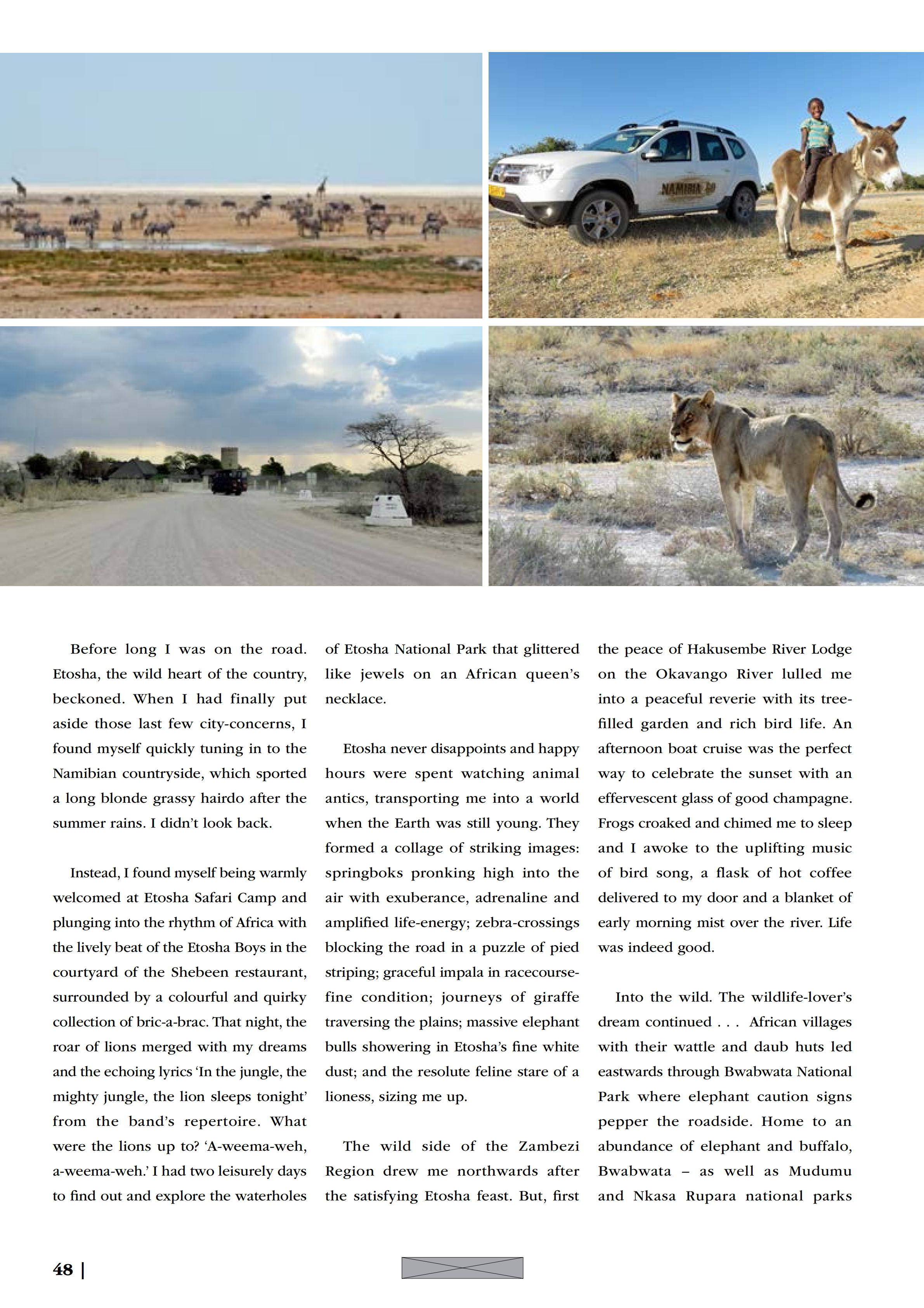 GO WILD (Flamingo 2017)_02