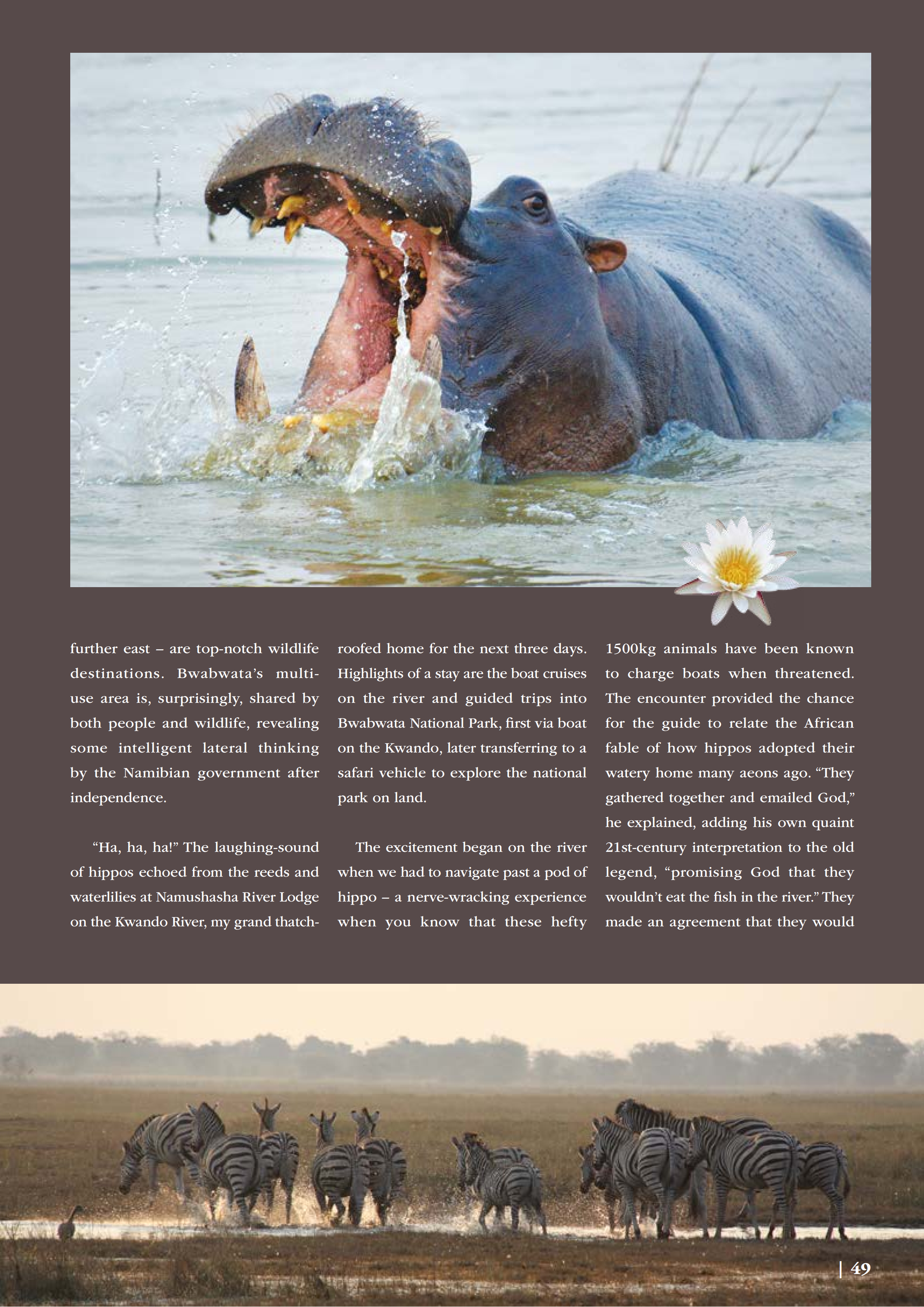 GO WILD (Flamingo 2017)_03