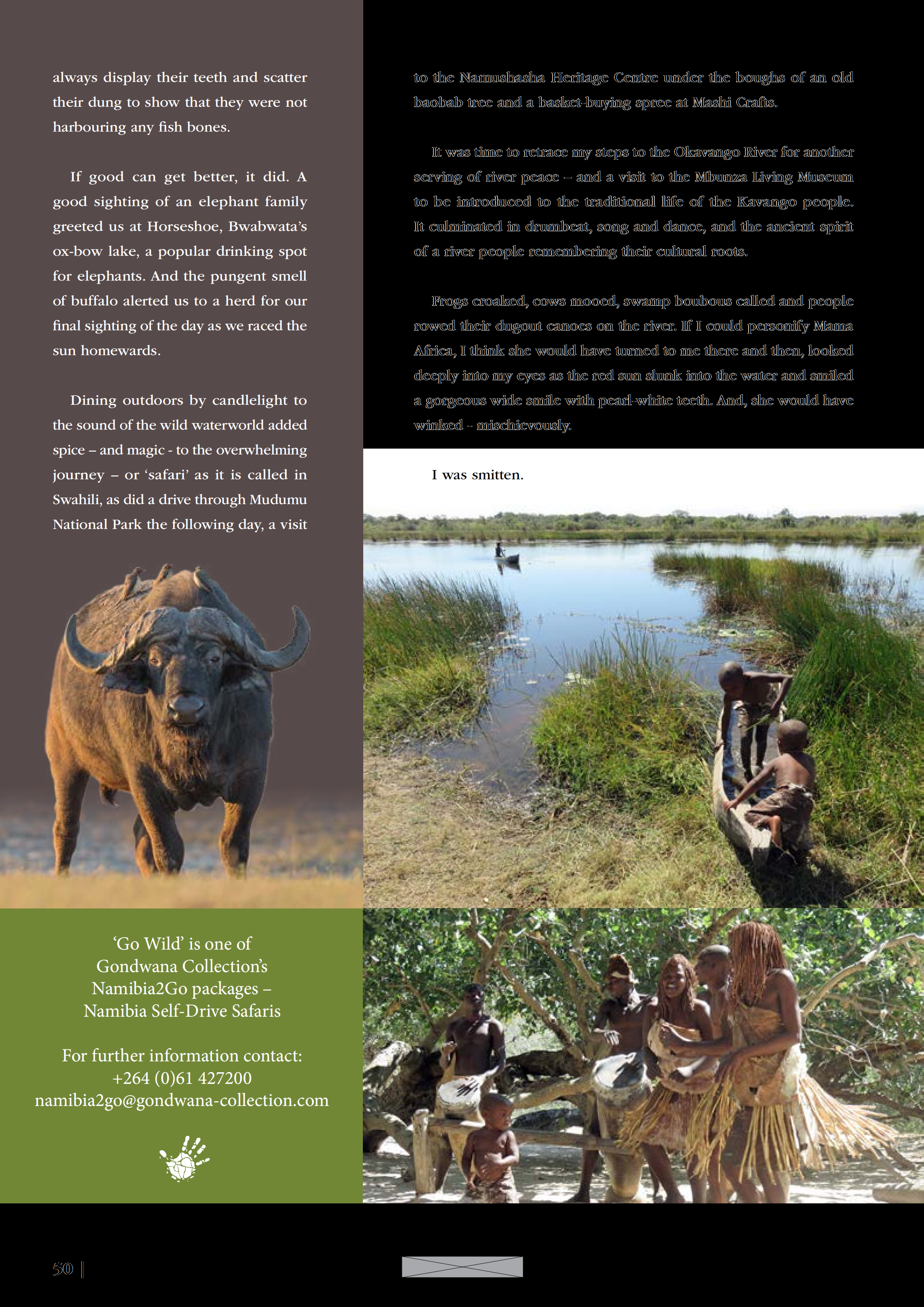 GO WILD (Flamingo 2017)_04